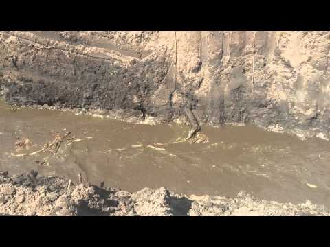 IMG 0437