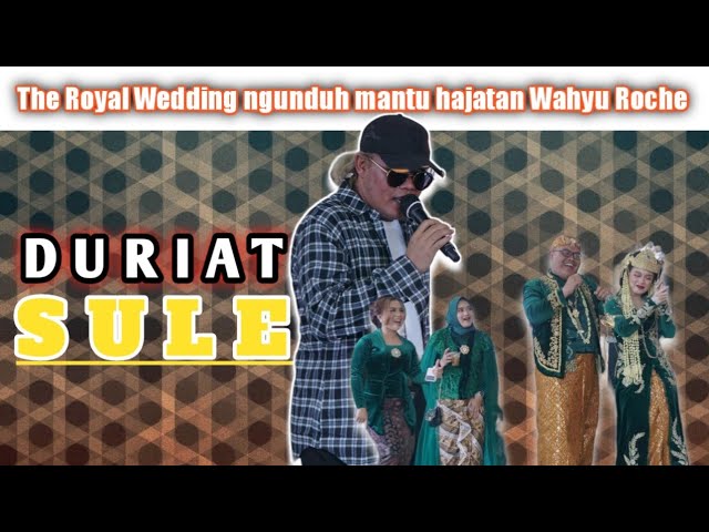 DURIAT - SULE (Live Hajatan Wahyu Roche) class=