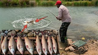 Fishing hunting 🎣 | Desi Chara Se Pakdi Badi Rohu! | River Fishing Secret 🌊