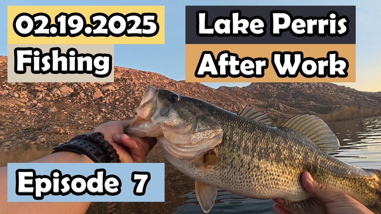 Lake Perris Fishing. 11 Bass in 2 hours! #prespawn #lakeperrisfishing #prespawnbassfishing