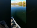 What Was This Fish DOING? #shorts #musky #muskyfishing