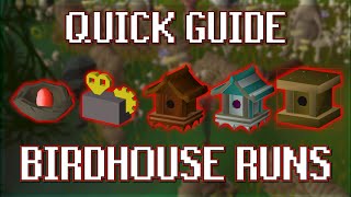 Quick Guide to Birdhouse Runs in OSRS