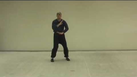 Wang Shujin Bagua Zhang: #11a "Hawk Swoops Upward"