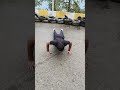 #asool #tarsemjassar #pushups
