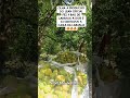 Viraliza Pomar De Laranja Que Nós Estamos Colhendo Tá Pagando R 2 33 Centavo A Caixinha Da Laranja Viraliza Pomar De Laranja Que Nós Estamos Colhendo Tá Pagando R 2 33 Centavo A Caixinha Da Laranja