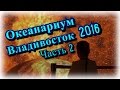 Океанариум Владивосток Часть 2 Остров Русский 2016 самый большой мире видео открытие для детей #2