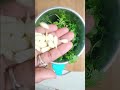 Tasty Chicken Resipe #shorts #chicken