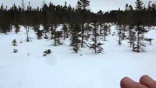 7-Day Solo Winter Camp: More Lake Ski Exploring - Part 5