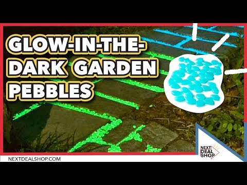 16 Magical DIY Glow In The Dark Ideas For The Garden