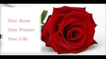 Just One Rose Will Do