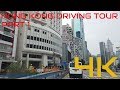 Ultra HD 4K Hong Kong Driving Tour - Hong Lok Yuen to Causeway Bay