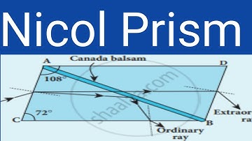 Nicol Prism | Full Concept | Hindi | TDC PART - 2