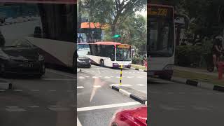 Rare Cameo! SBS6684M 238 (HGDEP 231)