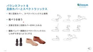 06Balance Foot S Japanese