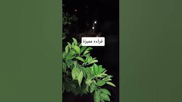 القرآن الكريم راحة نفسية #اكسبلور #song #قطط #النظافه #العلم #القزابري #تيك_توك #cat #المصحف