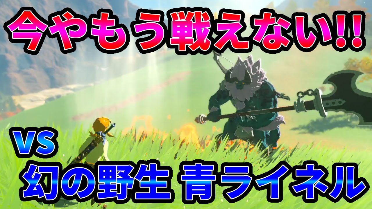 【ゼルダの伝説】超久々に野生の青ライネルと対決！＋どれくらい離れたら魔物は全回復するのか？【実況プレイ】ブレスオブザワイルド Nintendo Switch Part340