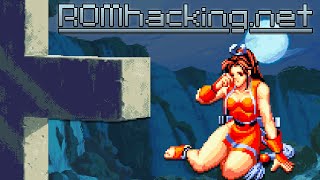 O fim da era ROMhacking.net