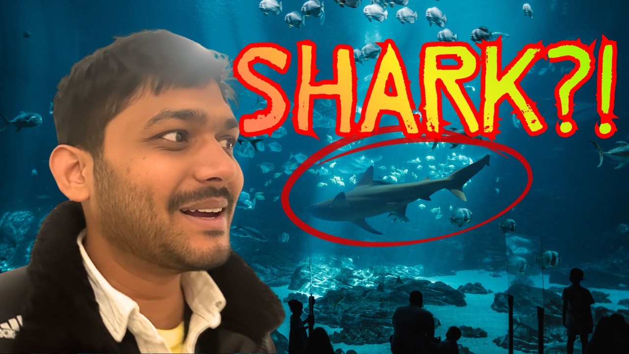 Portugal Aquarium Ticket Price 😳 35€ Each! Worth It?