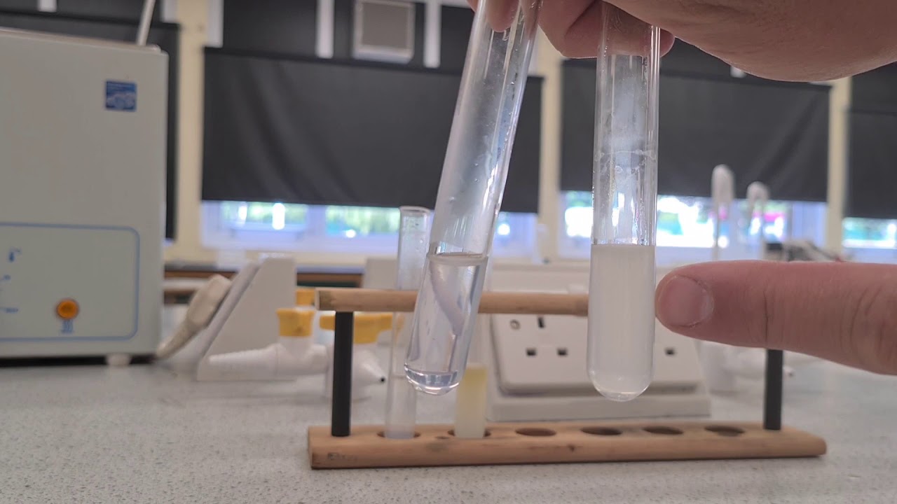 Required Practical 3 Food Test Lipids YouTube Required Practical 3 Food Test Lipids YouTube