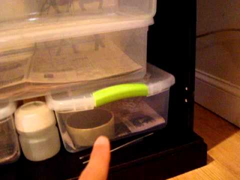 video phone beyonce mp3 BACK I PROMISE!!!