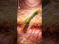 H.pylori #biologylecture #biologyforstudents #neetbiology#medicalbiology |#mdcatpreparation