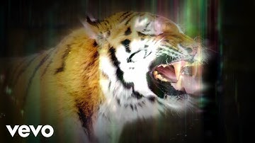 Tigu - Magwaku (Official Music Video)