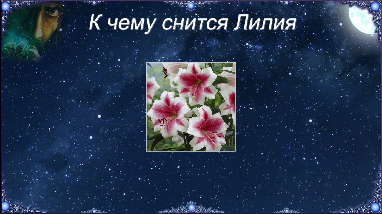 К чему снится Лилия (Сонник)