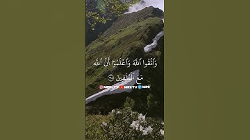 ماهر المعيقلي - سورة البقرة ( برواية حفص عن عاصم ) الأية 194 - 195