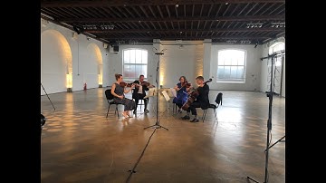 Smetana Quartet no. 1 