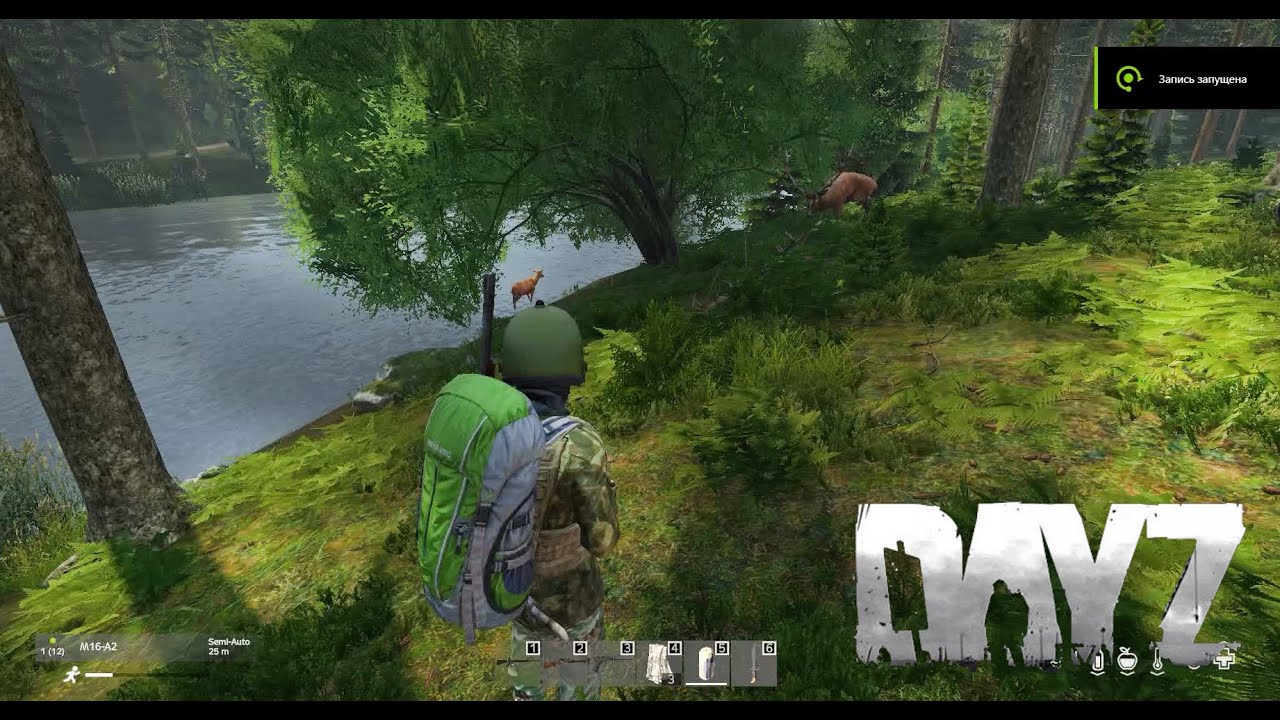 DayZ Update 1.13 - Deer hunting is even easier