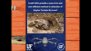 Effectiveness of UAVs for detecting Gopher Tortoise Burrows After Prescribed Fire