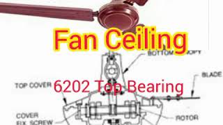 Ceiling Fan Skf Fag 6202 Tam 202 Top End Cover Bearing Rubber Seal Remove Grease Repair