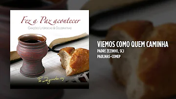 Qual é o certo vinhemos ou viemos?