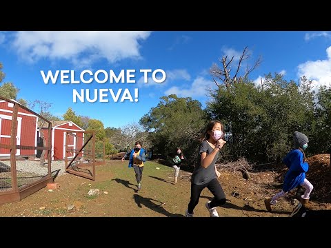 Welcome to Nueva: Lower School Edition