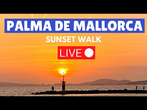 Video: Mallorcan Asukkaat Allekirjoittavat Vetoomuksen Risteilyalusrajasta