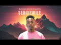 Sengizwile - Mas MusiQ ft Aymos & Young Stunna (Audio Visualizer)