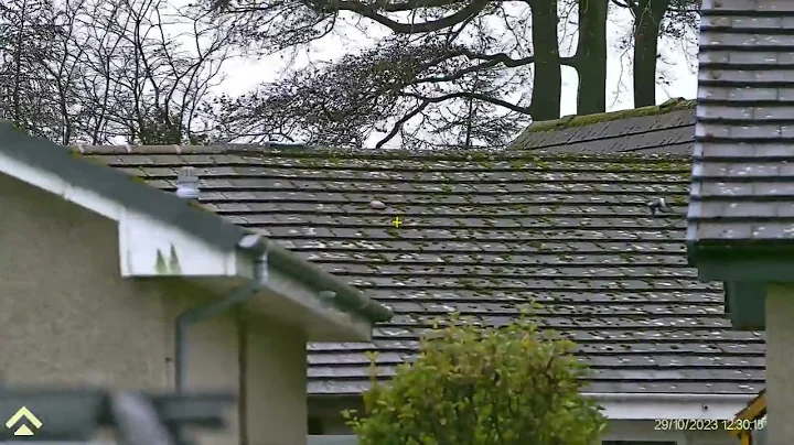 Arken Zulus 520HDR ballistic calculator in operation