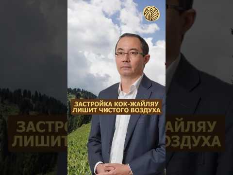 ⬆️жми по ссылке на полное видео | Застройка Кок-Жайляу лишит чистого воздуха #экология #алматы