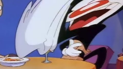 Animaniacs Theme but I dont know whats going on