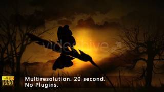 Morning Opener After Effects Template