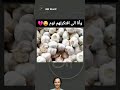 وأنا الى افتكرتهم ثوم ههههههه Shortvideo Funny مقاطع مضحكة وأنا الى افتكرتهم ثوم ههههههه Shortvideo Funny مقاطع مضحكة