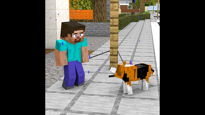 [Other Ending] When Steve And His Dog Don'T Give Away To Each Other 😂️