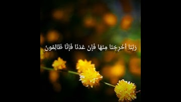 قَالُوا رَبَّنَا غَلَبَتْ عَلَيْنَا شِقْوَتُنَا - القارئ اسلام صبحي