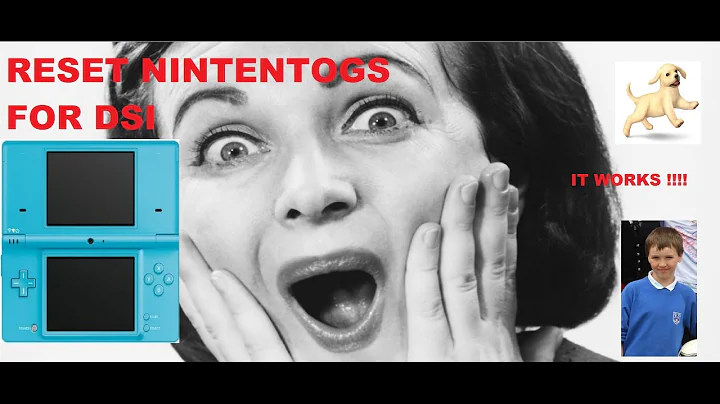 How to reset nintendogs on a DSi