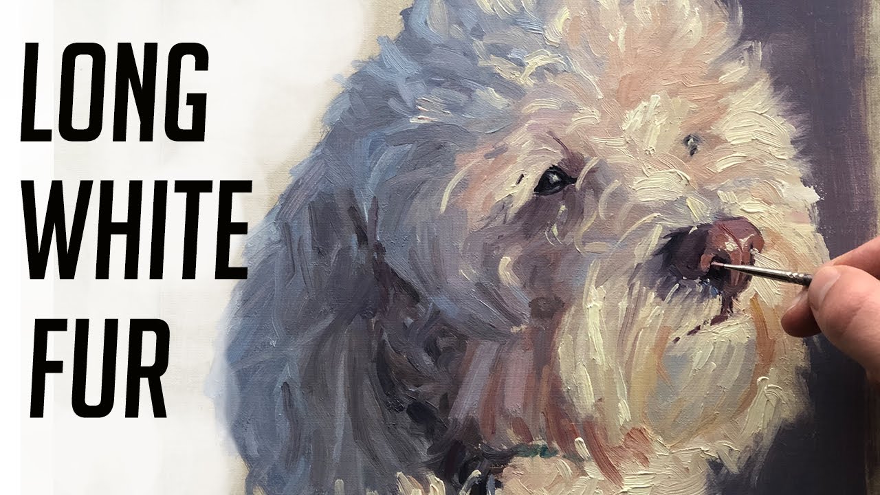 How to paint long white fur - YouTube