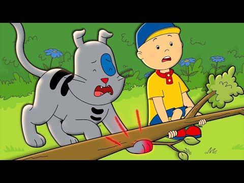 Caillou and Gilbert at the Vet | Caillou Cartoon