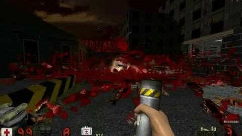 Duke Nukem 3d with mods
