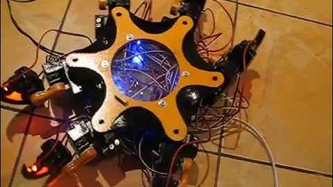 Hexapod Robot - Undergraduate Project