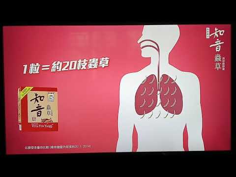 維特健靈知音蟲草廣告