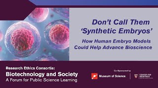 How Human Embryo Models Could Help Advance Bioscience | Research Ethics Consortia